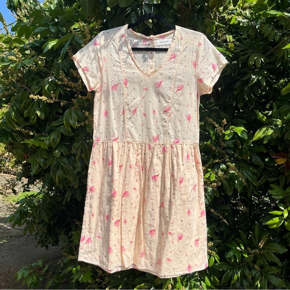 Indi & Cold peach nude ivory Swiss dot semi sheer short sleeve florls mini dress